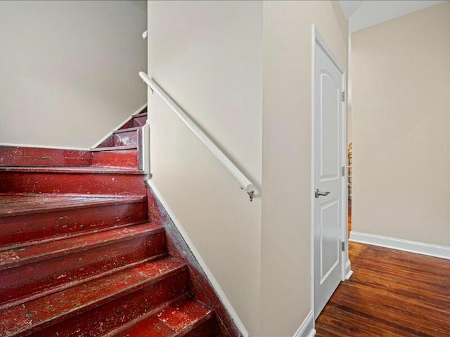 staircase featuring wood-type flooring