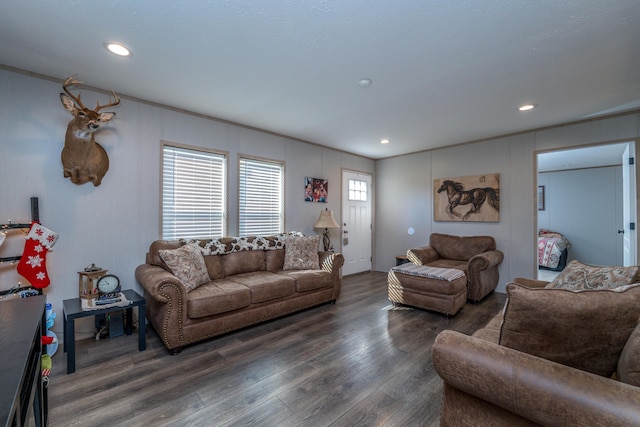 living room featuring dark hardwood / wood-style floors