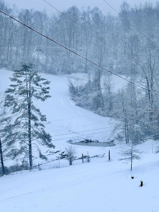 view of yard covered in snow