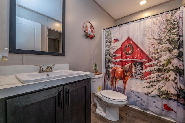 bathroom with toilet, a shower with shower curtain, hardwood / wood-style flooring, and vanity