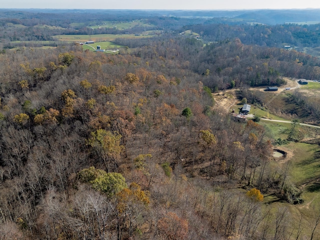 aerial view with a rural view