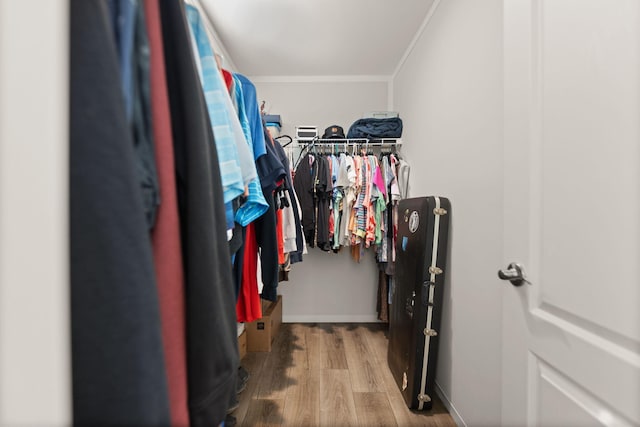 spacious closet featuring light hardwood / wood-style flooring