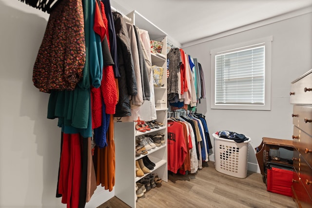 spacious closet featuring light hardwood / wood-style floors