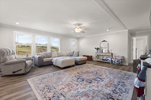 living room featuring wood-type flooring, ceiling fan, and ornamental molding