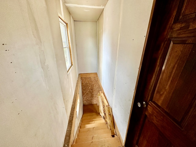 hallway featuring light hardwood / wood-style floors