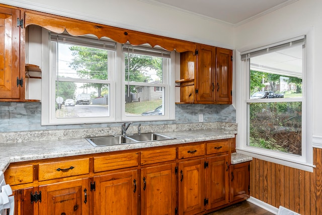 kitchen with wooden walls, tasteful backsplash, crown molding, and sink