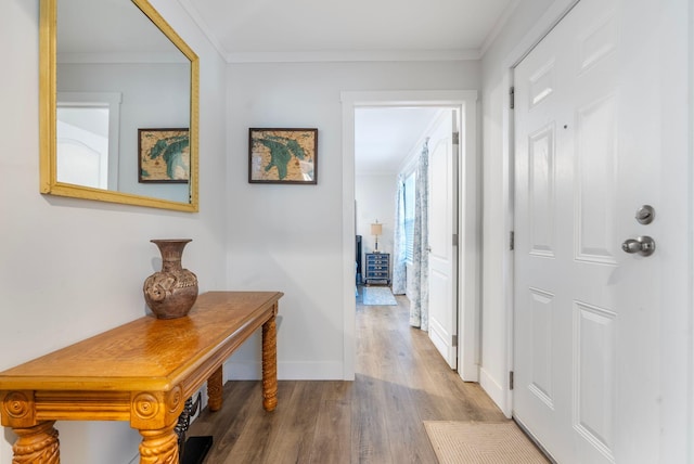 hallway with wood-type flooring and crown molding