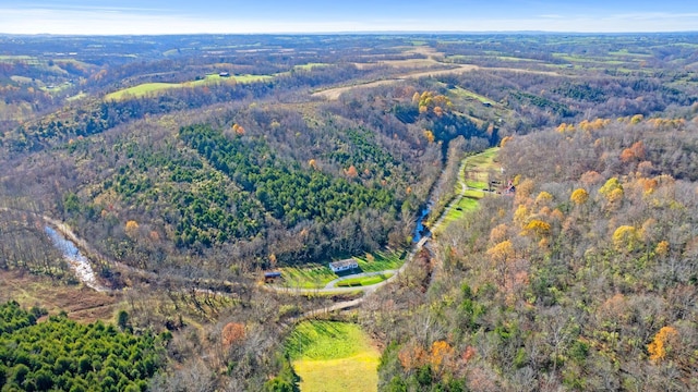 bird's eye view