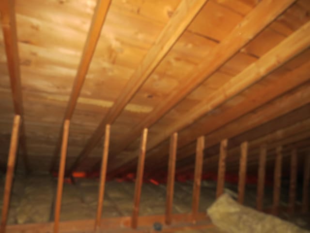 bedroom featuring a closet, ceiling fan, and light colored carpet