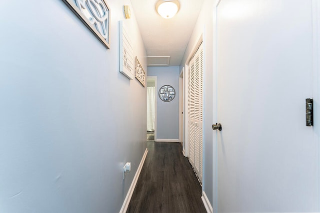 hallway with dark hardwood / wood-style flooring