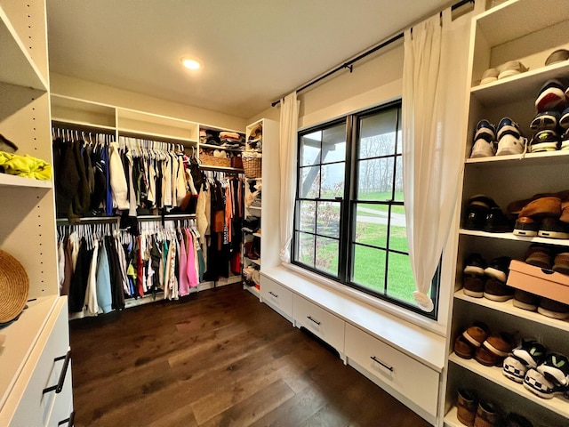 spacious closet featuring dark hardwood / wood-style floors