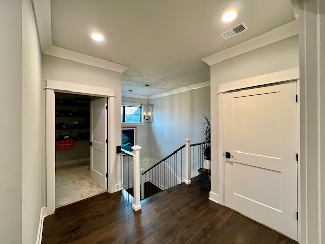 hallway with crown molding, dark wood-type flooring, and a chandelier