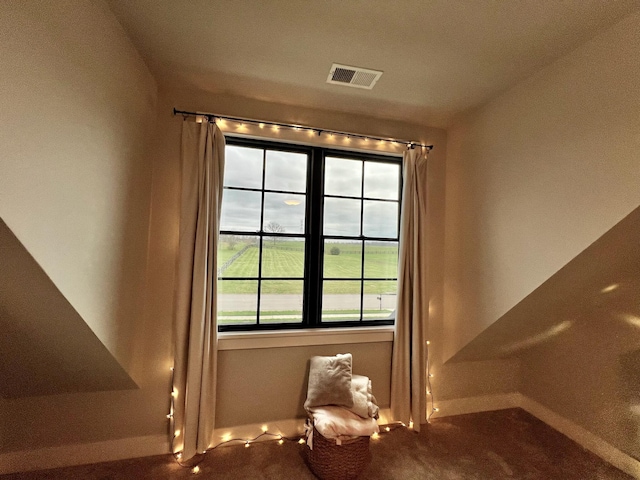 room details with carpet flooring