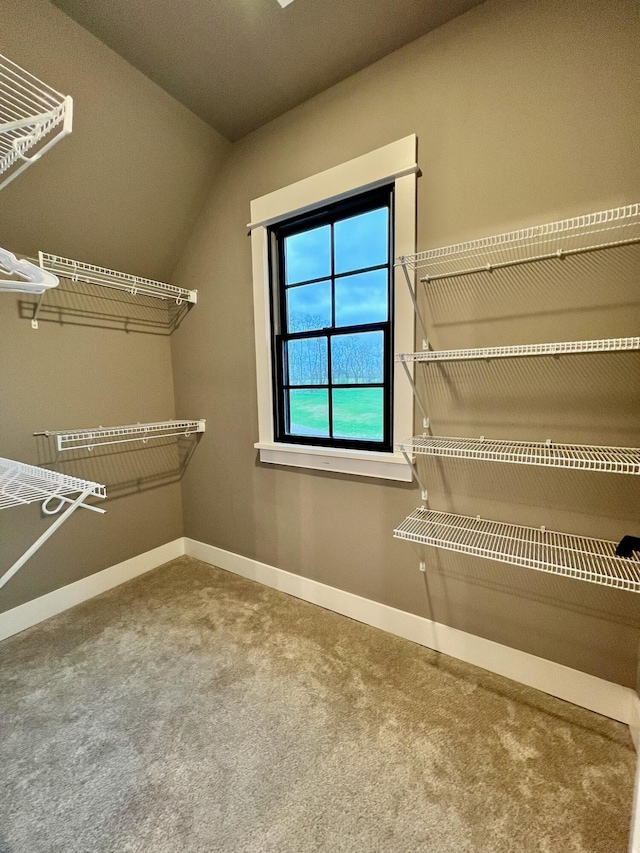 walk in closet featuring carpet flooring and vaulted ceiling