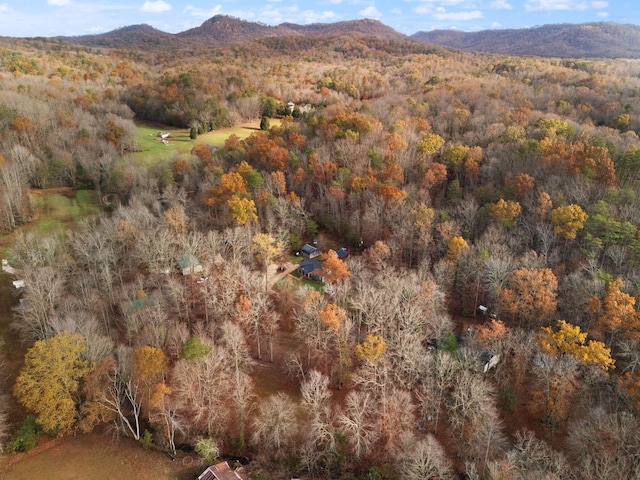 property view of mountains