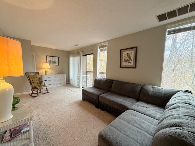 carpeted living room featuring plenty of natural light