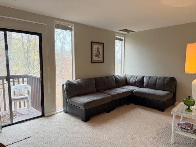 view of carpeted living room