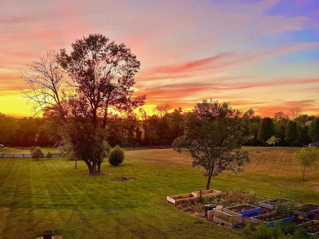 yard at dusk with a rural view