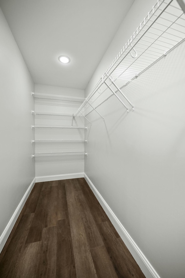 spacious closet featuring hardwood / wood-style flooring