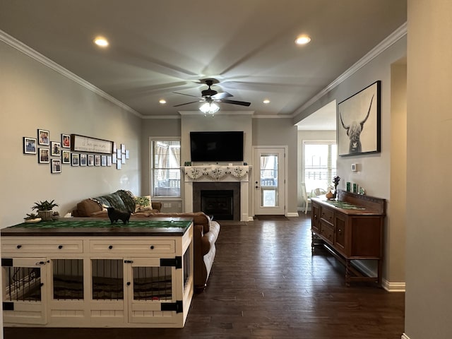 living room with baseboards, dark wood finished floors, a fireplace, and crown molding