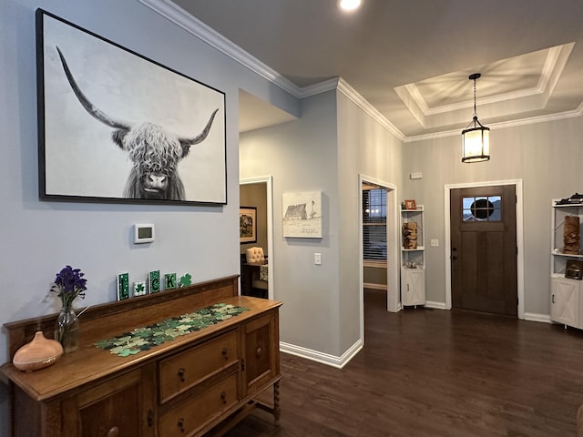 foyer with baseboards, a raised ceiling, dark wood-type flooring, and ornamental molding