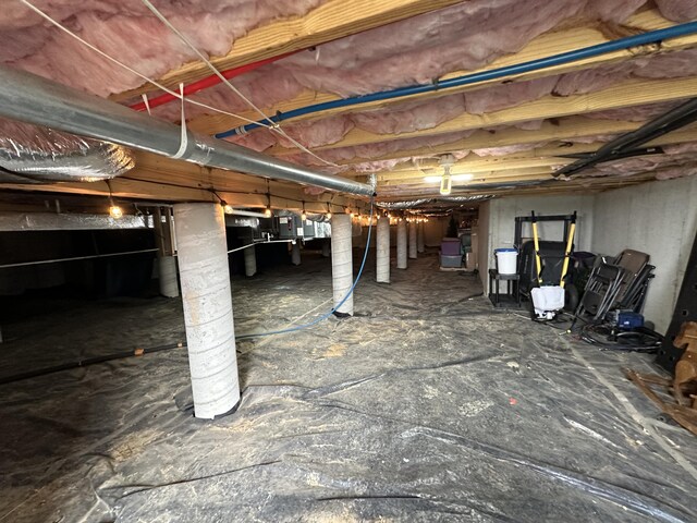 basement featuring crawl space