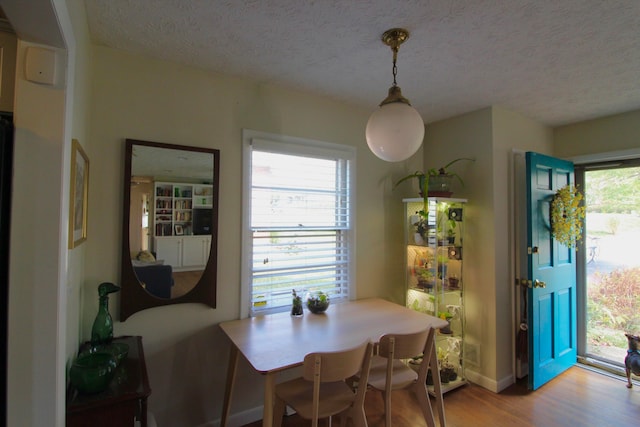 dining room with a healthy amount of sunlight, a textured ceiling, and wood-type flooring