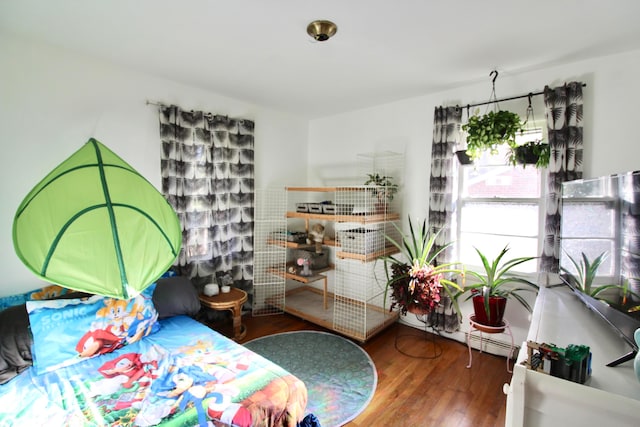 bedroom with wood-type flooring