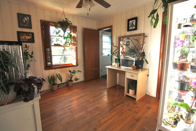 entryway featuring ceiling fan and dark wood-type flooring