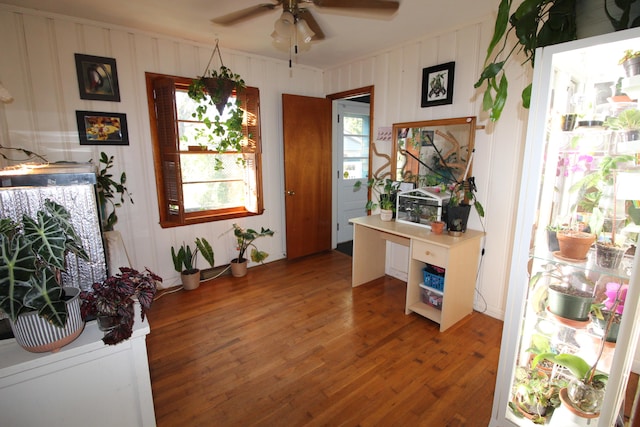 entrance foyer featuring hardwood / wood-style flooring and ceiling fan