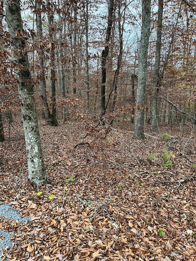 LOT26 Peach Tree Ln, Russell Springs KY, 42642 land for sale