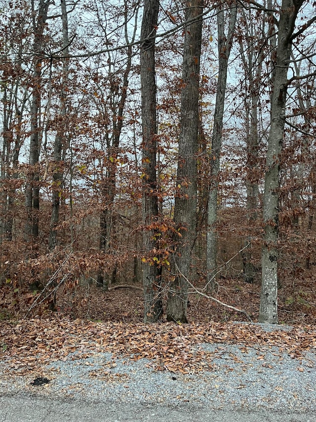 Listing photo 2 for LOT26 Peach Tree Ln, Russell Springs KY 42642