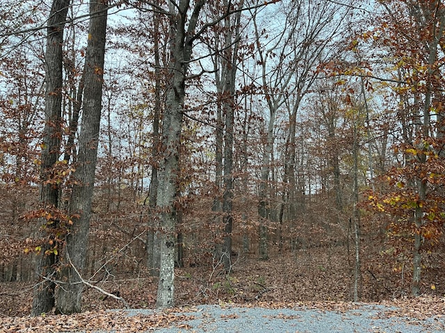 Listing photo 3 for LOT26 Peach Tree Ln, Russell Springs KY 42642