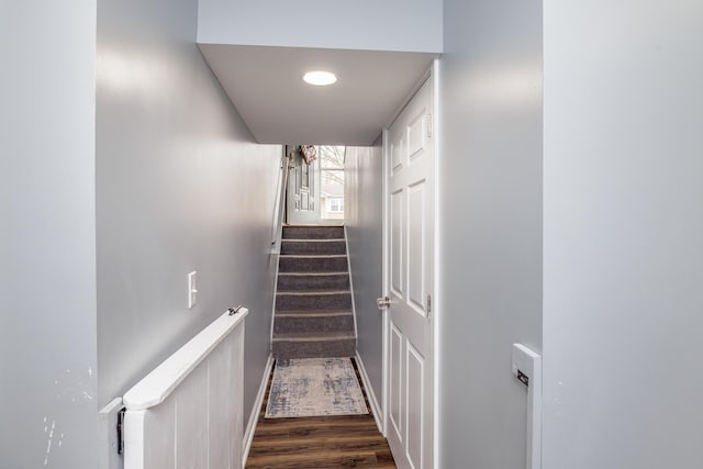 113 Alpine Way, Nicholasville, KY 40356 - staircase featuring wood finished floors and baseboards