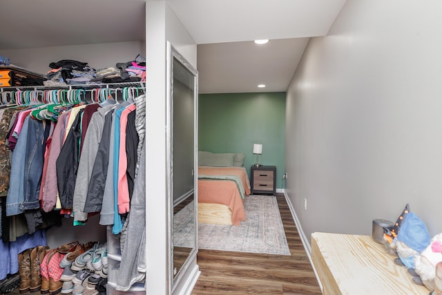 walk in closet featuring wood finished floors