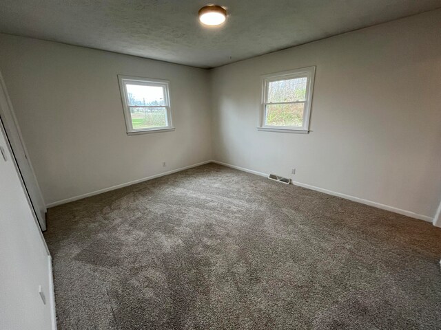 carpeted empty room with plenty of natural light and a textured ceiling