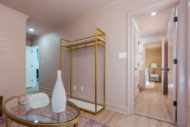 interior space featuring crown molding and light hardwood / wood-style floors