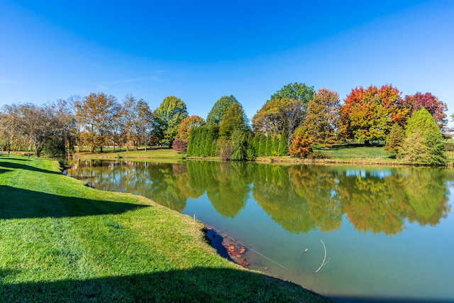 view of water feature