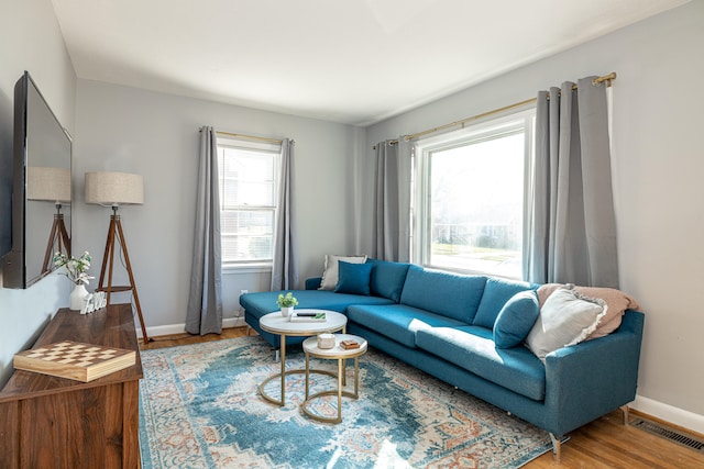 living room with wood-type flooring