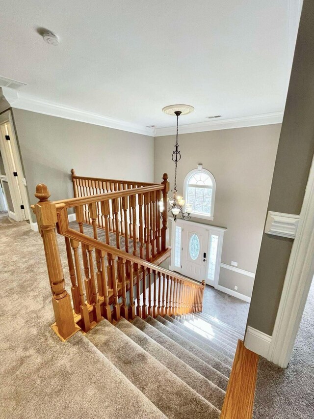 carpeted empty room with ceiling fan and crown molding