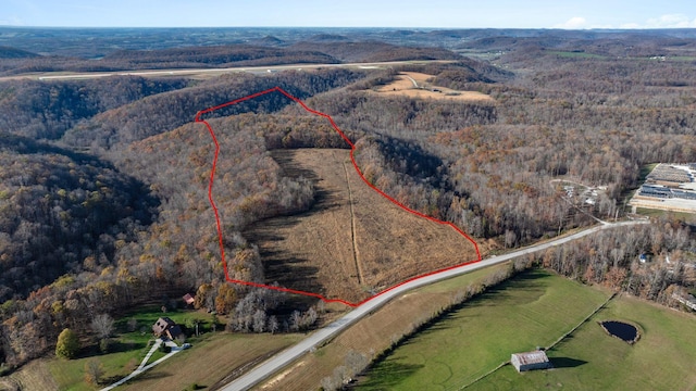 595 Ben Lowe Rd, Morehead KY, 40351 land for sale