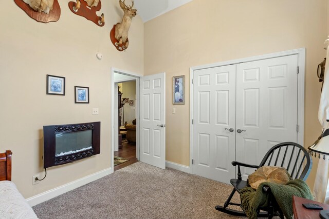 bedroom with carpet, a high ceiling, and a closet