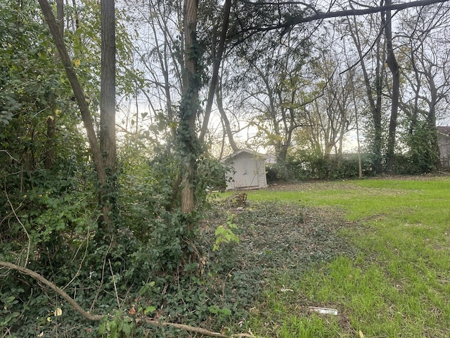 view of yard featuring a storage unit