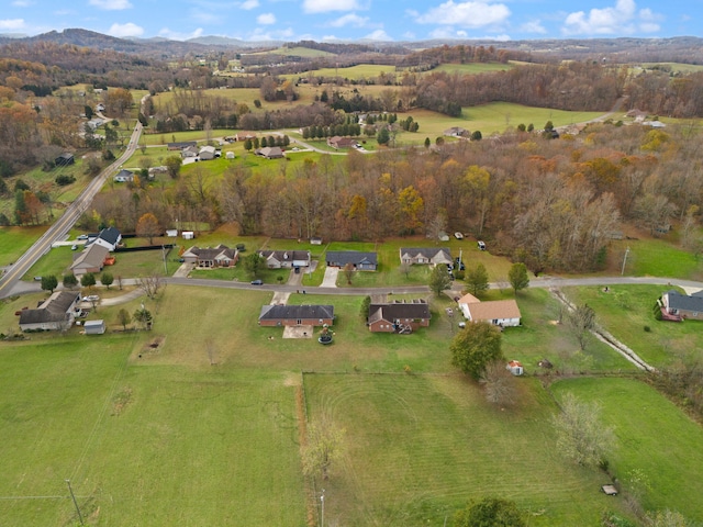 drone / aerial view with a mountain view