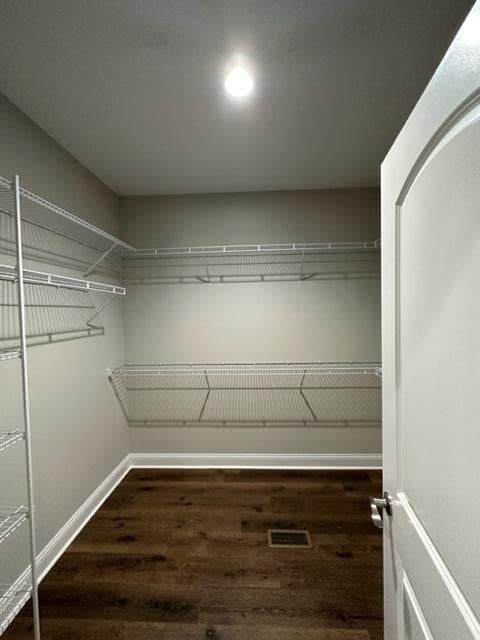 spacious closet featuring dark wood-type flooring