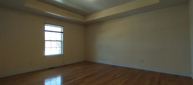 spare room featuring a raised ceiling and dark wood-type flooring