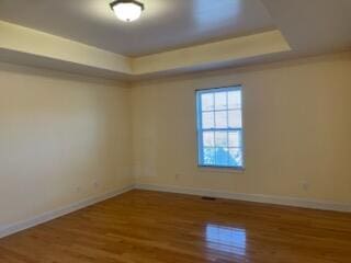 spare room with hardwood / wood-style floors and a tray ceiling