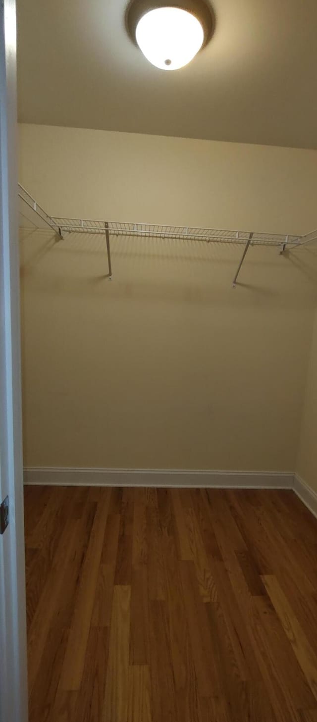 walk in closet featuring wood-type flooring