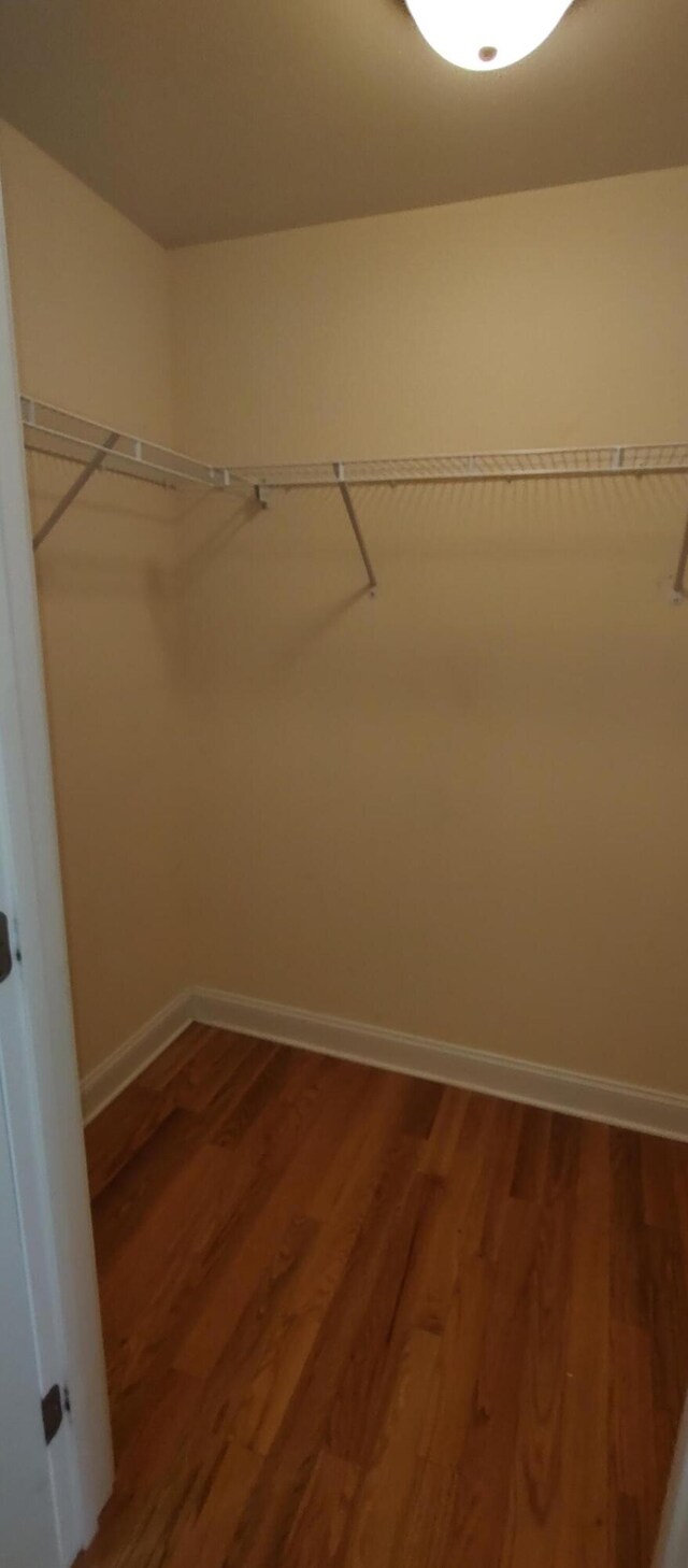 walk in closet with wood-type flooring