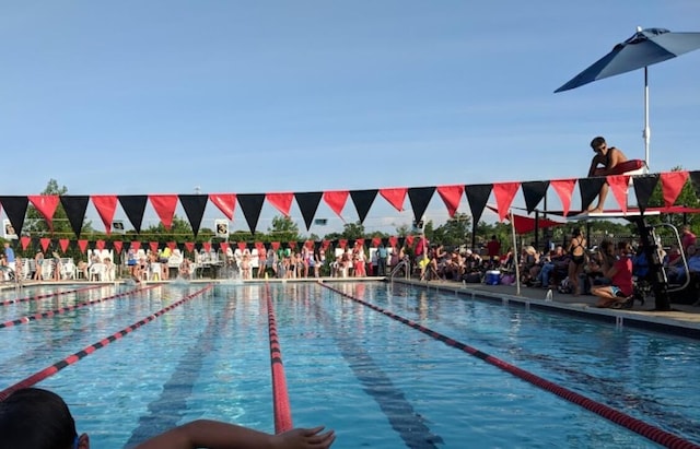 view of swimming pool